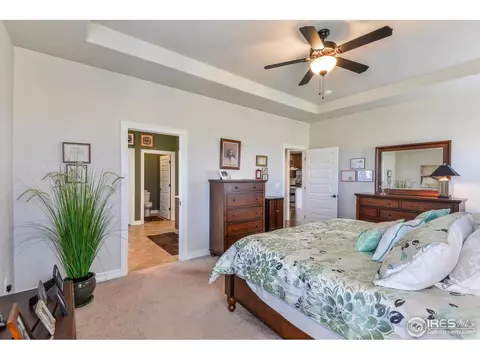8560 Allenbrook Dr, Windsor, CO 80550 photo 18