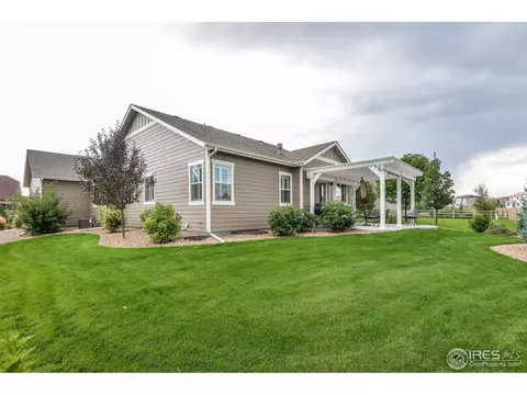 8560 Allenbrook Dr, Windsor, CO 80550 photo 5