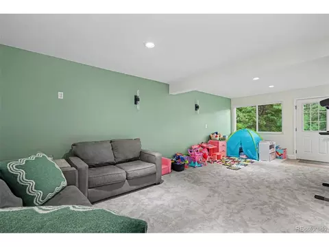 Other - 809 Roland Dr, Bailey, CO 80421 photo 7 of 8