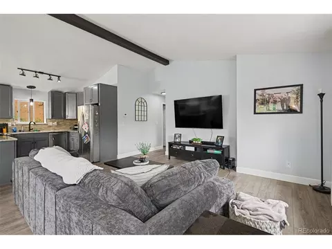 Living - 809 Roland Dr, Bailey, CO 80421 photo 2 of 3