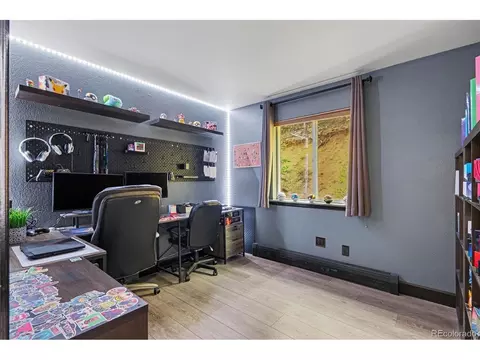 Other - 809 Roland Dr, Bailey, CO 80421 photo 5 of 8