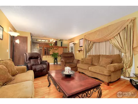 2585 E 101st Ct, Thornton, CO 80229 photo 19