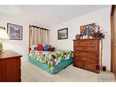 2585 E 101st Ct, Thornton, CO 80229 photo 23