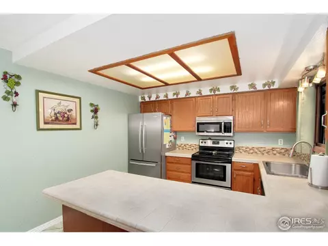 2585 E 101st Ct, Thornton, CO 80229 photo 10