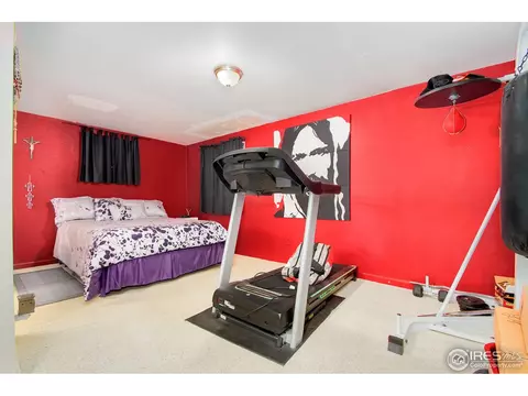 2585 E 101st Ct, Thornton, CO 80229 photo 27