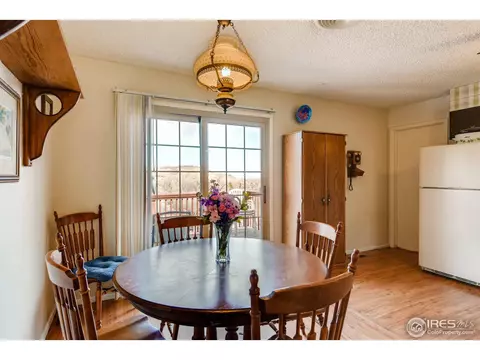 216 Ewald Ave, Lyons, CO 80540 photo 8