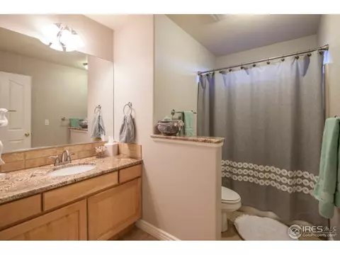 1107 Cortez Way, Severance, CO 80550 photo 23