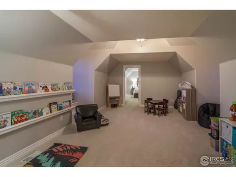 1107 Cortez Way, Severance, CO 80550 photo 31