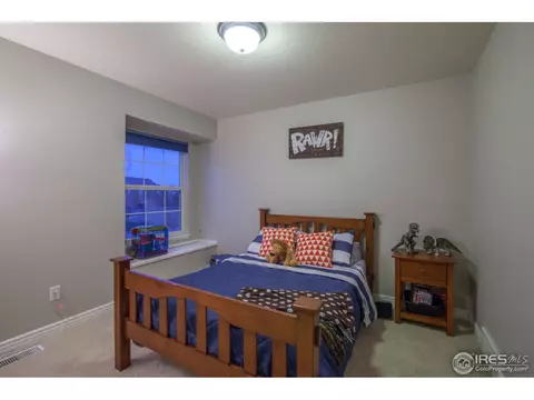 1107 Cortez Way, Severance, CO 80550 photo 26