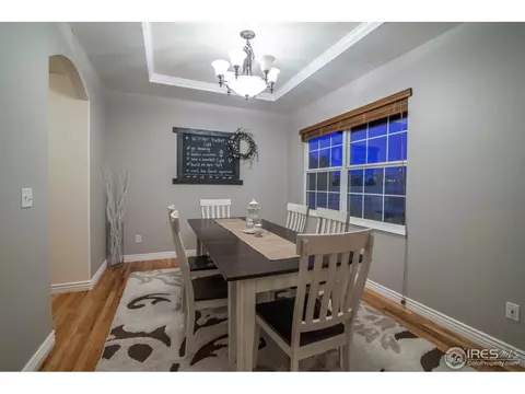 1107 Cortez Way, Severance, CO 80550 photo 17