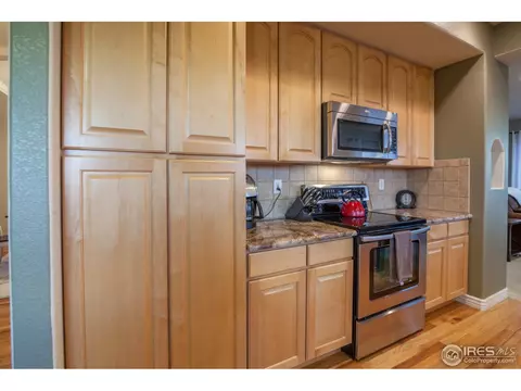 1107 Cortez Way, Severance, CO 80550 photo 14