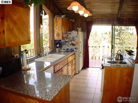 420 Bramer Rd, Ward, CO 80481 photo 2
