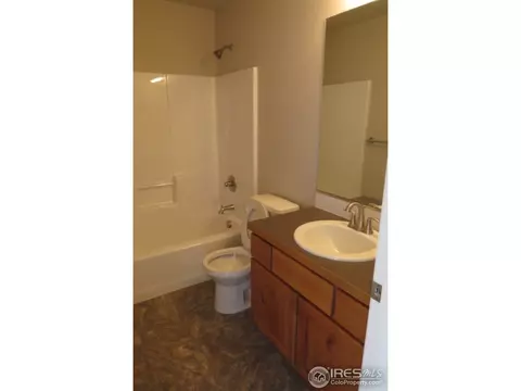 2171 Grain Bin Ct, Windsor, CO 80550 photo 14