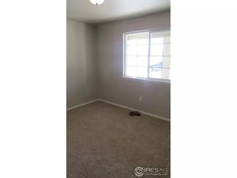 2171 Grain Bin Ct, Windsor, CO 80550 photo 18