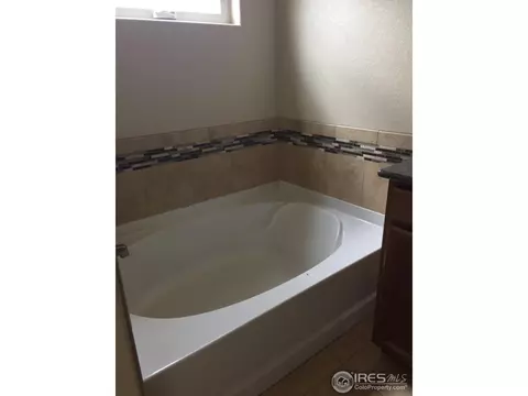 913 Barn Yard Dr, Windsor, CO 80550 photo 4