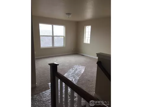 913 Barn Yard Dr, Windsor, CO 80550 photo 3