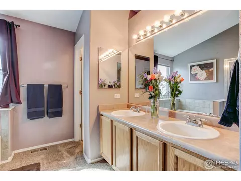 10485 Taylor Ave, Firestone, CO 80504 photo 20