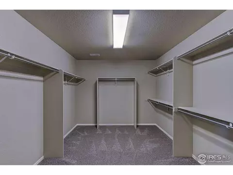 6099 Moran Rd, Timnath, CO 80547 photo 18