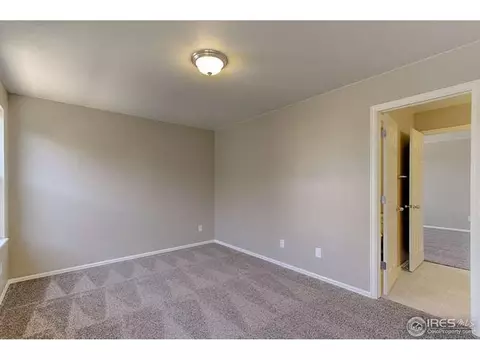 6099 Moran Rd, Timnath, CO 80547 photo 22