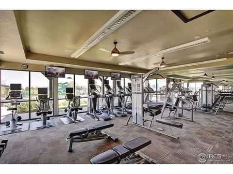 6099 Moran Rd, Timnath, CO 80547 photo 33