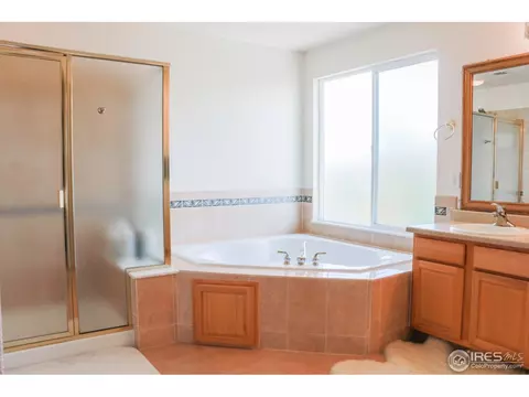 1402 E 100th Pl, Thornton, CO 80229 photo 19