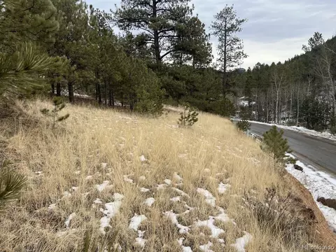20 Brewer St, Bailey, CO 80421 photo 2