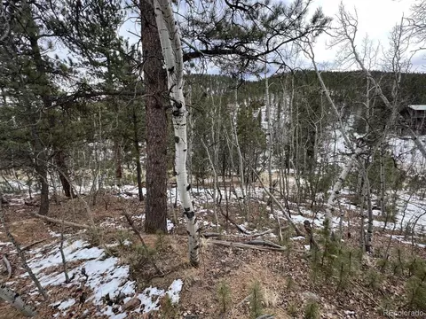 20 Brewer St, Bailey, CO 80421 photo 6