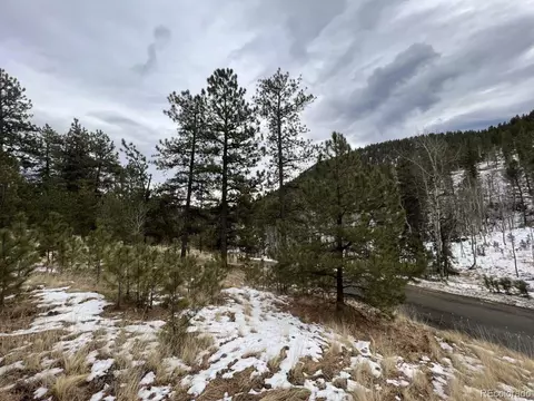 20 Brewer St, Bailey, CO 80421 photo 9