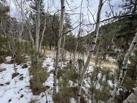 20 Brewer St, Bailey, CO 80421 photo 10