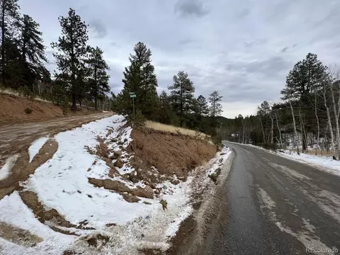 20 Brewer St, Bailey, CO 80421 photo 5