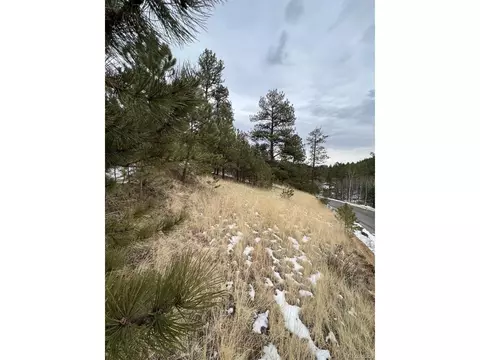 20 Brewer St, Bailey, CO 80421 photo 7