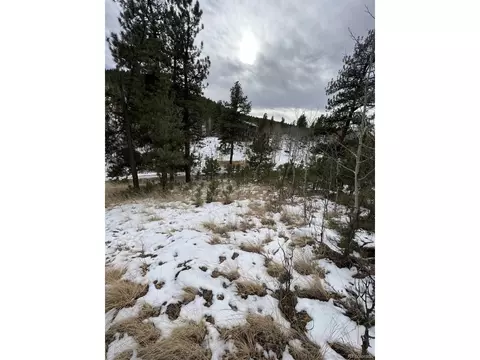 20 Brewer St, Bailey, CO 80421 photo 12
