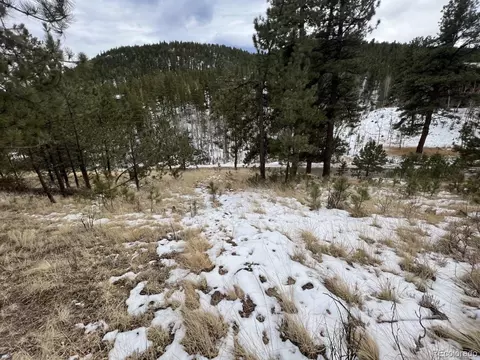 20 Brewer St, Bailey, CO 80421 photo 1