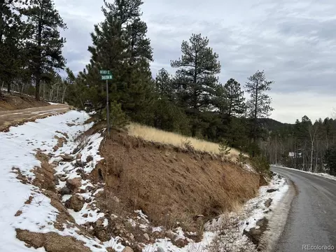 20 Brewer St, Bailey, CO 80421 photo 3