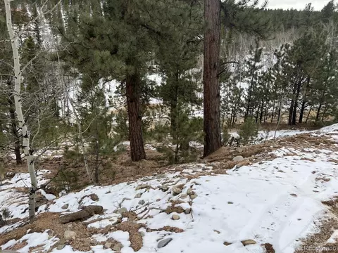 20 Brewer St, Bailey, CO 80421 photo 4