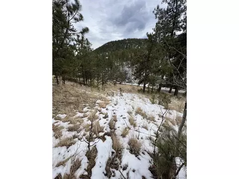 20 Brewer St, Bailey, CO 80421 photo 11