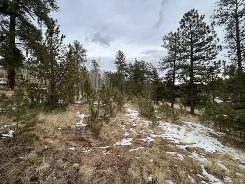 20 Brewer St, Bailey, CO 80421 photo 8