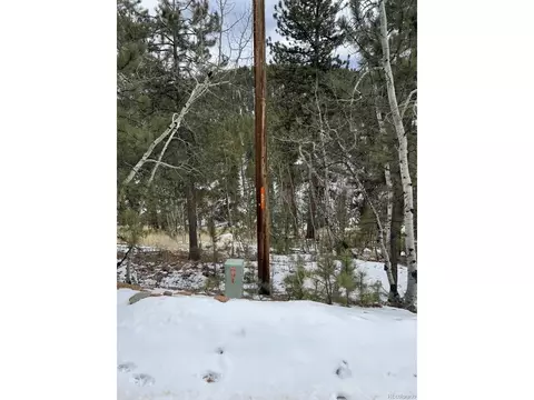 20 Brewer St, Bailey, CO 80421 photo 13
