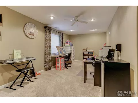 2984 E 116th Pl, Thornton, CO 80233 photo 25