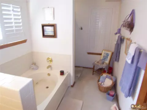10037 Andrush Ct, Lone Tree, CO 80124 photo 17