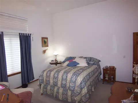 10037 Andrush Ct, Lone Tree, CO 80124 photo 16