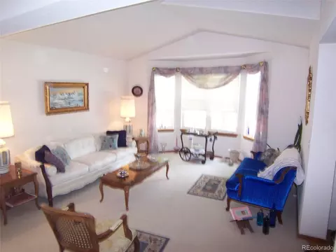 10037 Andrush Ct, Lone Tree, CO 80124 photo 11