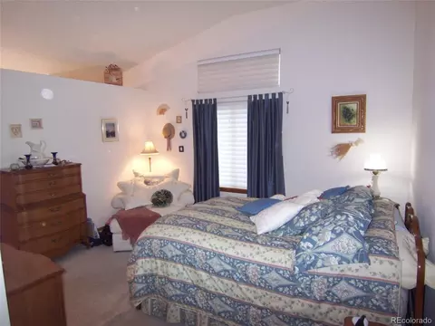 10037 Andrush Ct, Lone Tree, CO 80124 photo 15