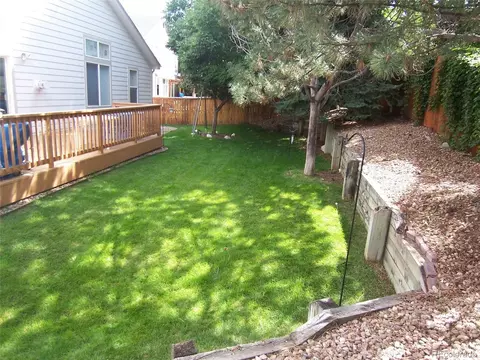 10037 Andrush Ct, Lone Tree, CO 80124 photo 24