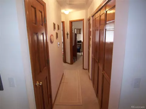 10037 Andrush Ct, Lone Tree, CO 80124 photo 10