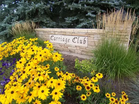 10037 Andrush Ct, Lone Tree, CO 80124 photo 30