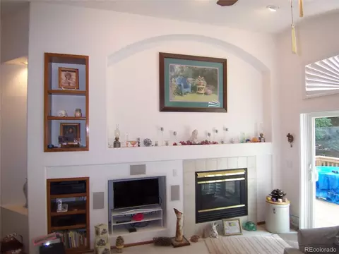 10037 Andrush Ct, Lone Tree, CO 80124 photo 8