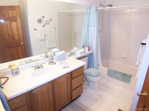 10037 Andrush Ct, Lone Tree, CO 80124 photo 21