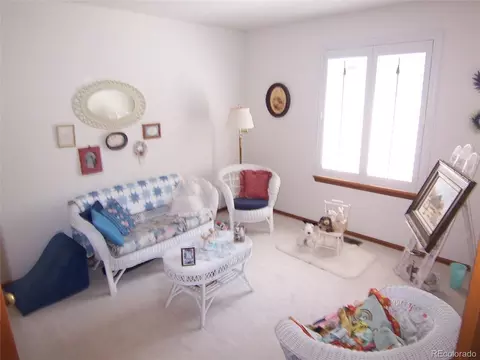 10037 Andrush Ct, Lone Tree, CO 80124 photo 20