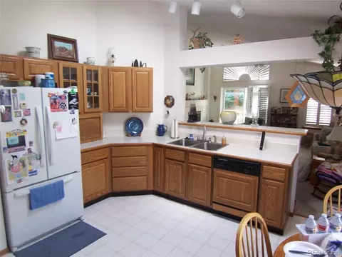 10037 Andrush Ct, Lone Tree, CO 80124 photo 4